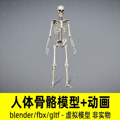 blender人体骨骼人物骨架影视游戏3d模型骨骼动画fbx设计素材gltf