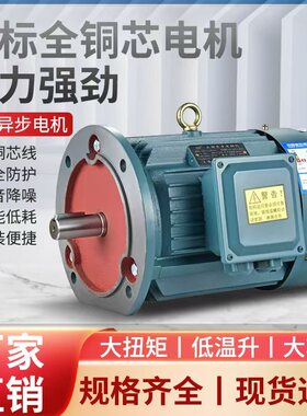 三相电动机Y112M-4 4KW/1.5/2.2/5.5/Y100L2-4 3KW全新铜国标380V