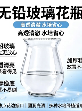 透明玻璃花瓶水培绿萝植物客厅摆件花边鱼缸水培观音竹发财树花瓶
