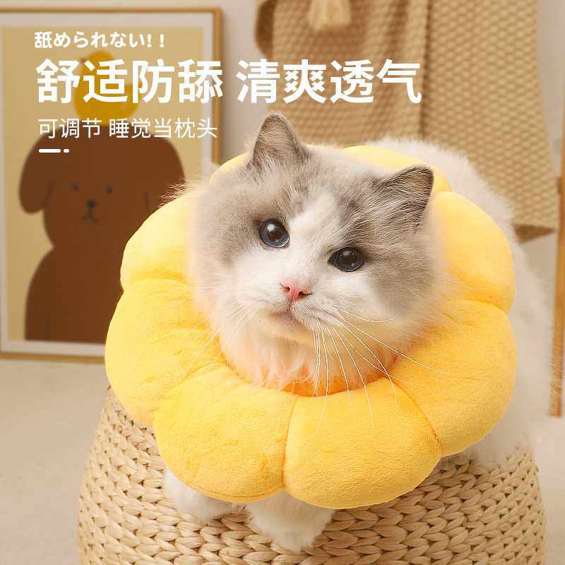 新款直销猫咪项圈伊丽莎白圈猫头套颈圈伊利沙白圈幼猫防舔圈宠物,宠物/宠物食品及用品,宠物伊丽莎白圈,淘宝优惠券,粉丝福利购,淘宝优惠卷