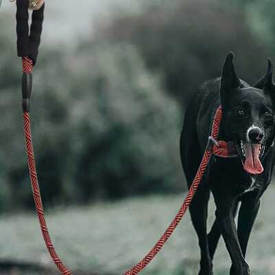 新款直销亚马逊宠物牵引绳防冲爆P链遛狗绳子中大型犬拴狗绳P绳防