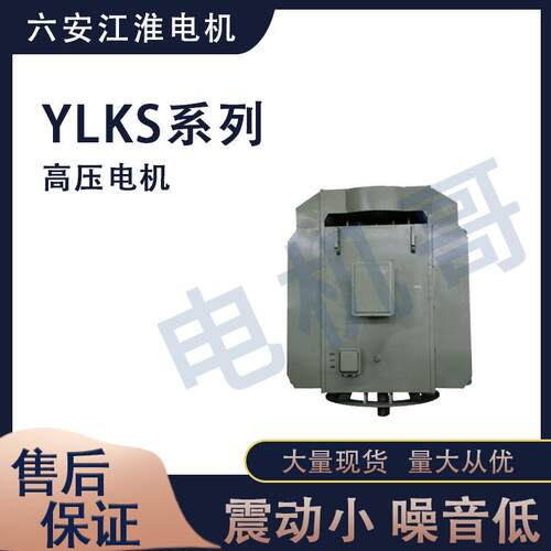 新款直销六安江淮电机马达直供YLS系列中型高压电动机立式三相异