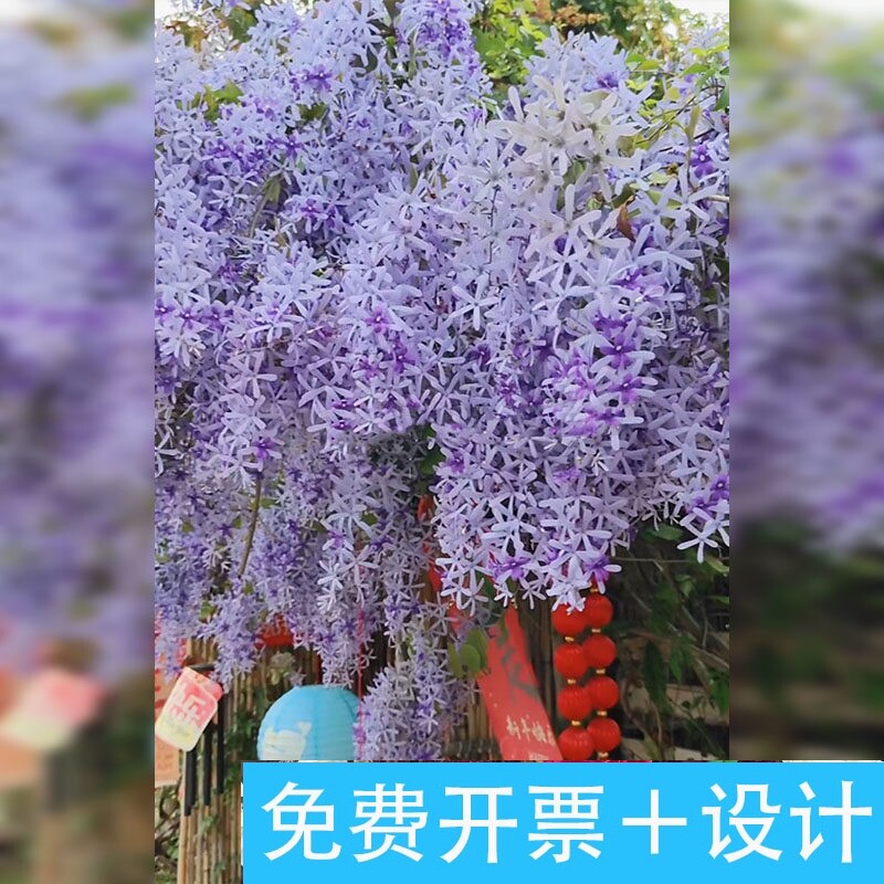 茶馆仿真紫藤花假花瀑布拍照场景氛围感布置紫藤花吊饰打卡区布置