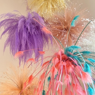 室内悬浮烟花树专用花材干花轻柔羽毛草龙须草永生花新年装饰品