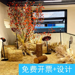 咖啡店直播间楼梯转角秋日氛围感布置在稻草和灯笼果里拥抱整个秋