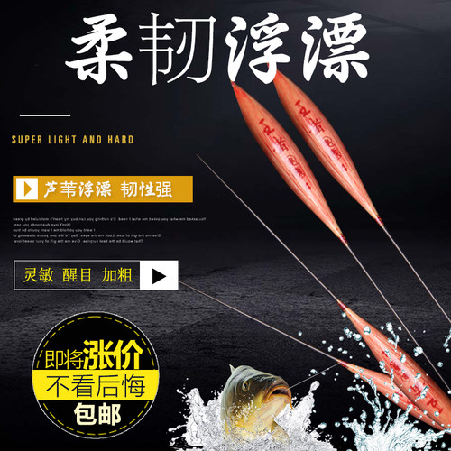 鲤鱼竞技高灵敏芦苇渔具浮漂