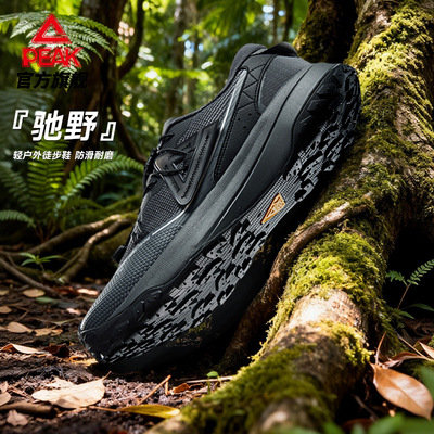 匹克态极驰野休闲鞋男官方正品