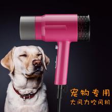 吹风机大功率静音大型犬电吹风筒1