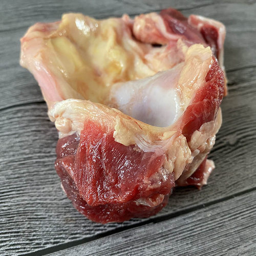漫鲨5斤多肉牛窝骨筋膝盖骨