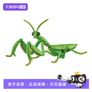 【自营】TOMY多美卡Ania安利亚仿真野生动物模型螳螂昆虫玩具摆件