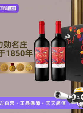 【自营】智利黑蕾牧羊人画廊精选赤霞珠干红葡萄酒750ml*2礼盒