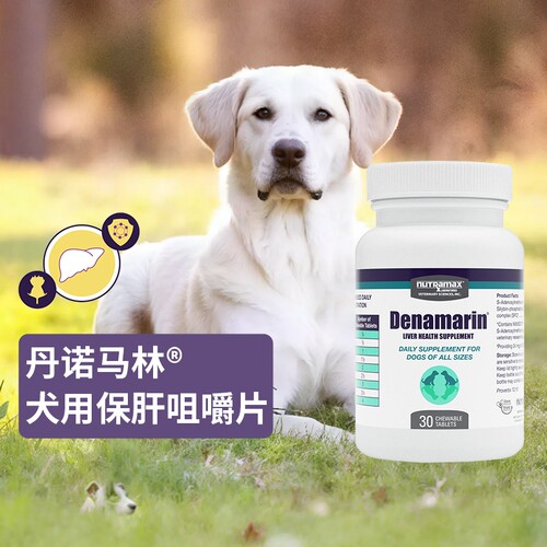 丹诺马林犬猫用护肝片30片