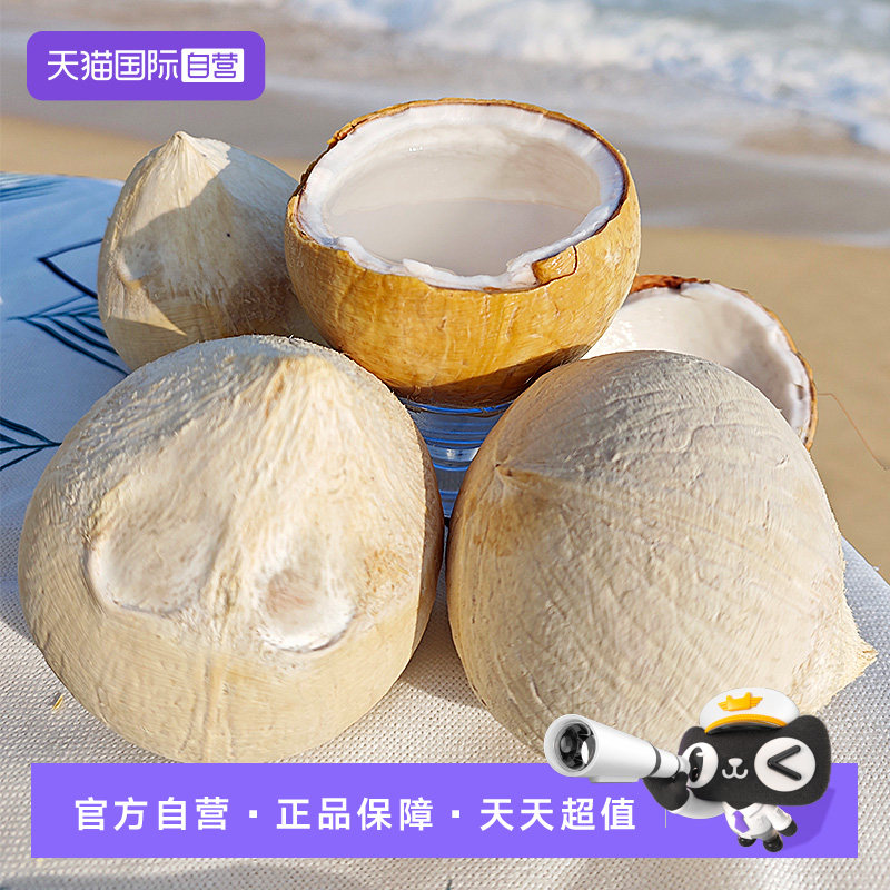 【自营】越南进口奶香椰皇椰青新鲜当季水果老椰子汁肉烤椰奶2个