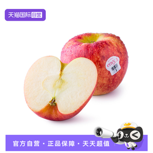 【自营】爱妃苹果礼盒新西兰进口envy鲜果苹果当季脆甜多汁送礼