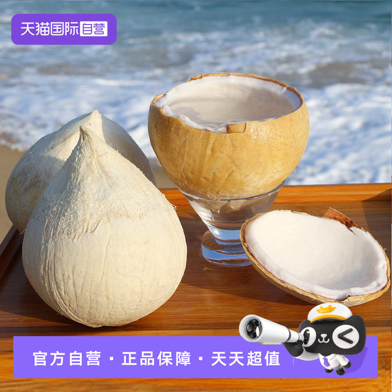 【自营】越南进口奶香椰皇椰青新鲜当季水果老椰子汁肉烤椰奶6个