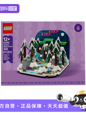 【自营】LEGO乐高40785北极光立体模型创意拼装积木玩具礼物