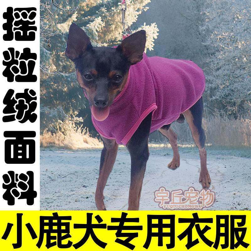 迷你杜宾小鹿犬专用狗狗衣服1斤小体鹿娃犬秋冬季款秋装加厚保暖