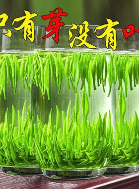 特级雀舌茶2026新茶绿茶