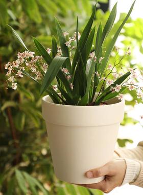 米白色经典陶土花盆家用客厅桌面奶油风素烧陶瓷盆香松蝴蝶兰套盆