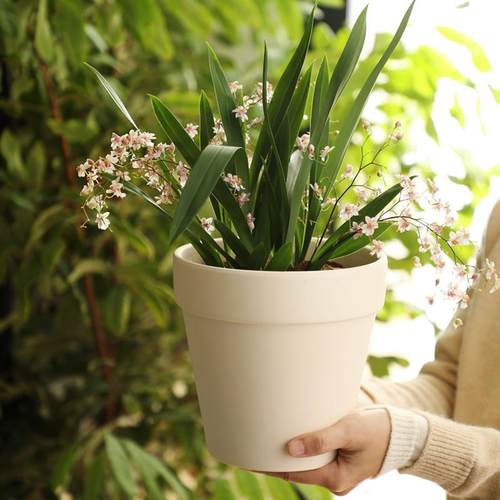 热销新款简约百搭百搭高级感