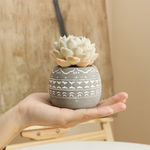 创意小口径水泥花盆北欧简约客厅庭院多肉绿植物盆栽个性 复古花盆