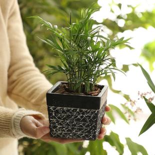 复古做旧仿编织藤编四方水泥花盆桌面花园庭院多肉绿植盆盆栽套盆