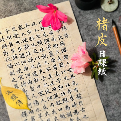 【楮皮日课纸】非廉价纸张可比