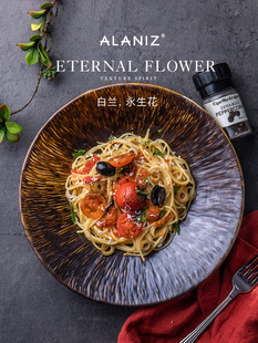 alaniz南兹白兰褐色盘子菜盘家用斗笠盘餐厅汤盘深盘陶瓷西餐盘