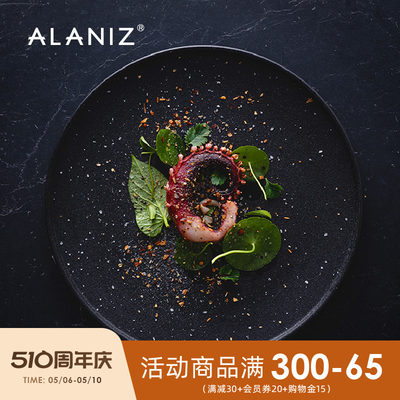 盘子ALANIZ黑色磨砂西餐