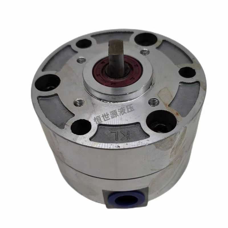 无锡凯利液压双e向摆线油泵LB-BB4 LB-BB10 LB-BB-6 BB16 BB20 B2,标准件/零部件/工业耗材,液压泵,淘宝优惠券,粉丝福利购,淘宝优惠卷