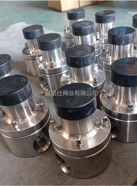 RXBF-S15/1.0 小口径不J锈钢丝扣螺纹连接背压阀