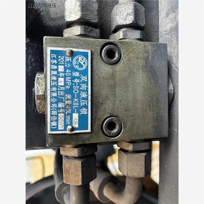 江苏鼎晟液压 SsO-K8L-40双向液压锁