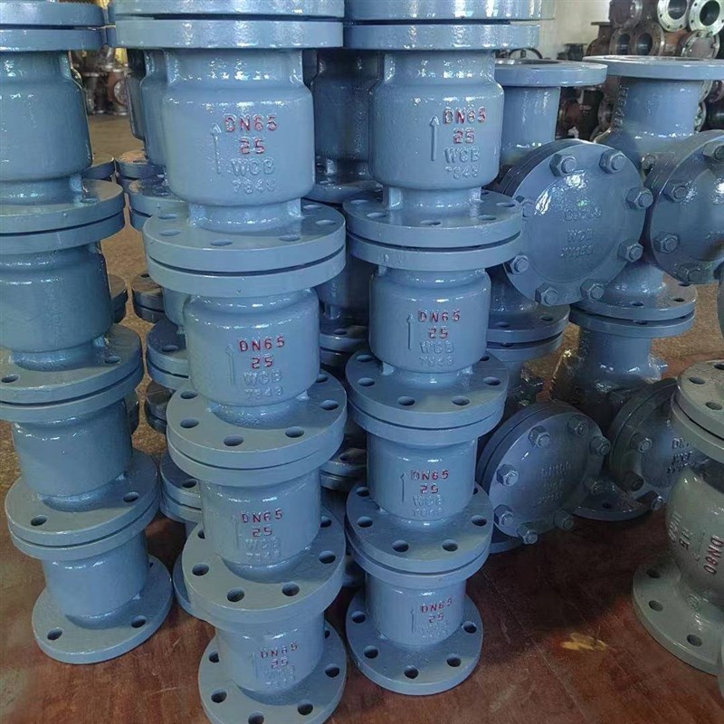 H42H-150LBC 美标铸钢立式E蒸汽止回阀 防止介质倒流止回阀