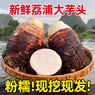 正宗广西荔浦芋头新鲜大芋头粉糯香芋槟榔芋毛芋头农家特产地直发