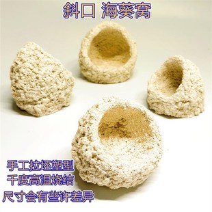 奶嘴山造景窝珊瑚防跑躲避罐小缸微缸造景爪哇基拉戈干岩石锐焦造