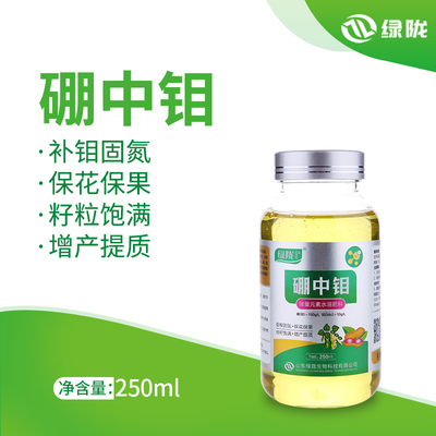 硼中钼肥微量元素促花保花固氮水溶肥流体硼肥农用叶面肥通用