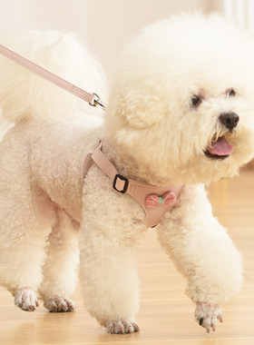 韩版网红背心式狗狗牵引绳小型犬泰迪比熊博美胸抱婴袋遛狗绳狗炼