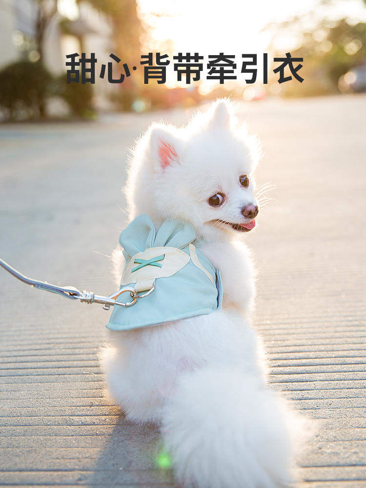 牵应绳狗泰迪狗绳子牵引绳夏天夏季项圈可调节大小体狗牵引绳可爱