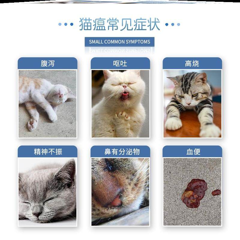 猫瘟试纸检测冠状套餐宠物pv试纸泛白细胞减少检测卡猫细小测试