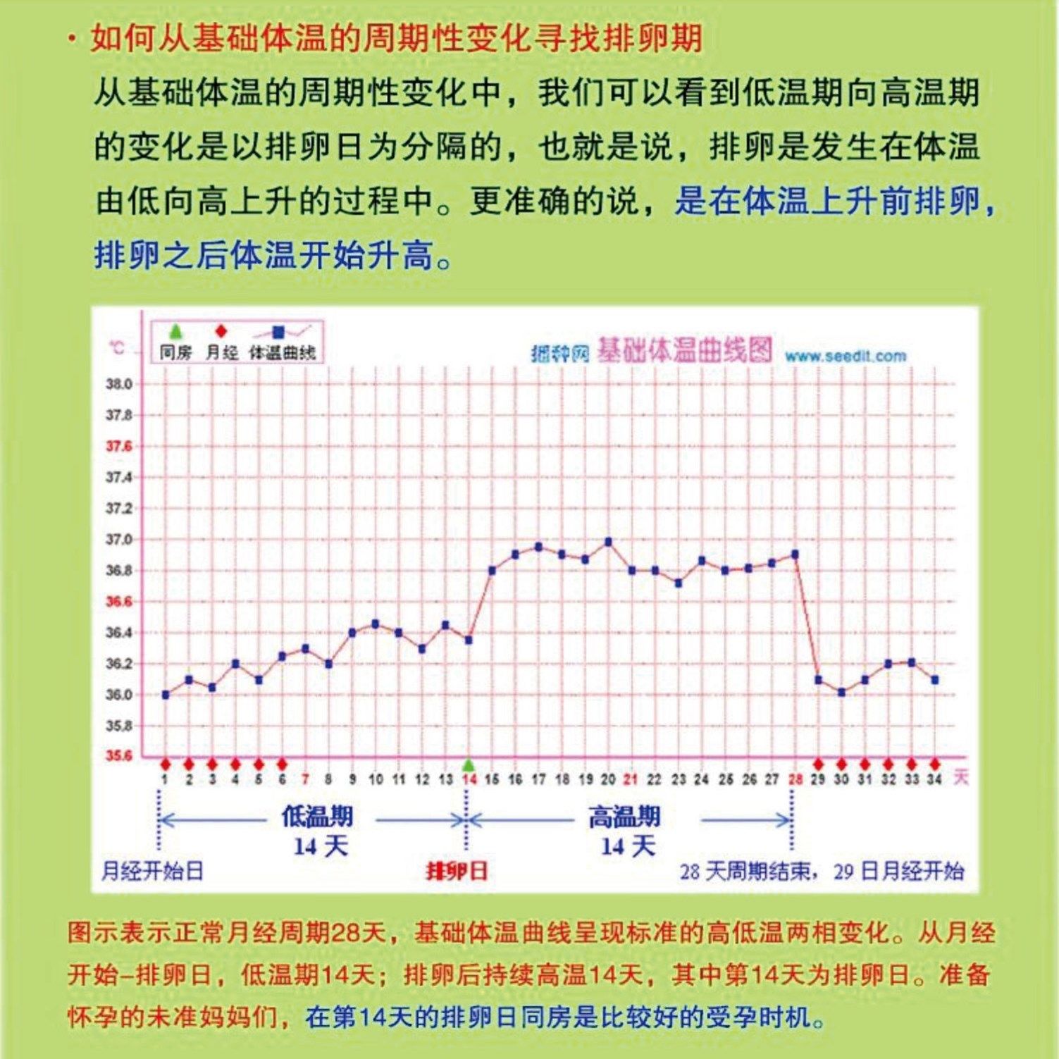 排卵试纸记录本备孕记录册女性基础体温记录表高级纸张书写更流利