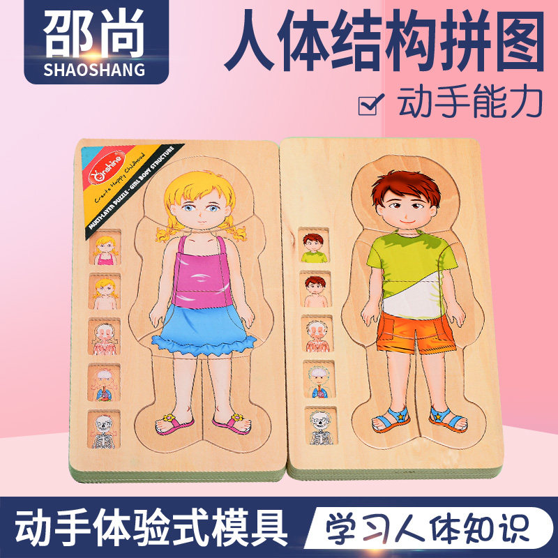 托班蒙氏教具人体结构拼图幼儿园区域材料语言区蒙氏早教益智玩具