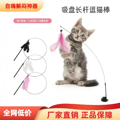 猫玩具自嗨解闷咪懒人动逗