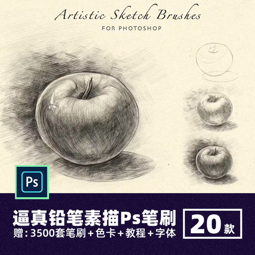 逼真铅笔纹理Ps笔刷手绘厚涂素描木炭笔勾线描边涂抹绘画abr画笔