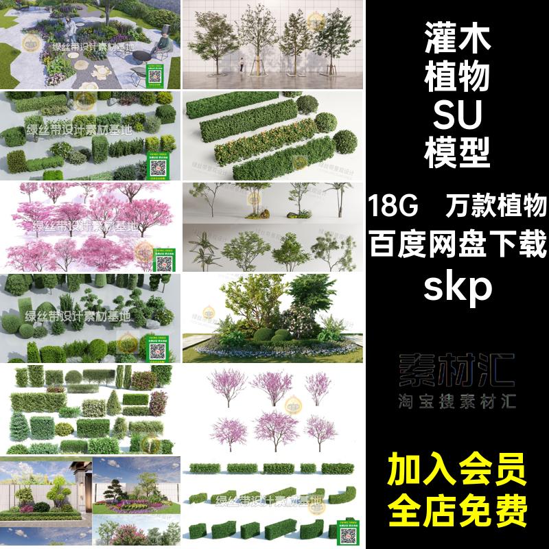 乔木植物SU模型植物SU模型花草组合灌木园林景观三维skp万款植物
