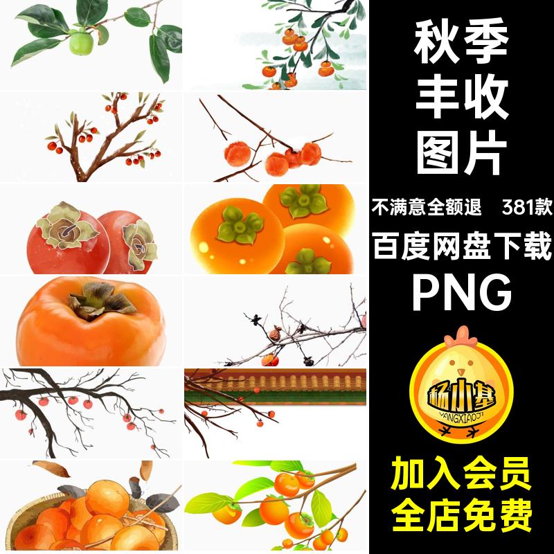 秋季丰收图片果实抠素材手绘柿子果实卡通插画果树381款免抠图片