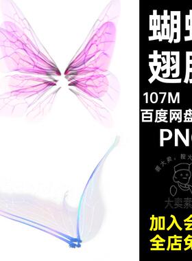 仙女蝴蝶PNG翅膀透明66款精灵摄影扣童话森林天使影楼免蜻蜓后期