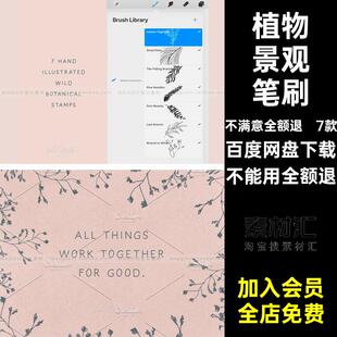 树叶松针笔刷Procreate花束花卉蕨类棕榈植物景观野生手绘7款插