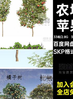 庭院果树乔木SU模型农场果园枣树柿子树柚子桃树平果橘树草图大师