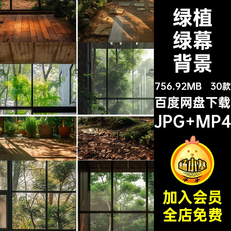 树林绿幕背景植物屏窗外jpg30款动态视频室内绿植设计素材竖mp4