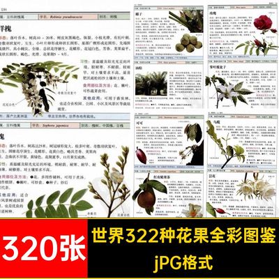 320张世界322种花果全彩图鉴食用电子版高清多种多种图片素材书页